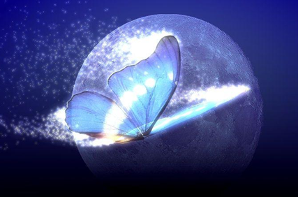 蝴蝶效應(yīng)、青蛙現(xiàn)象、破窗理論······這些你都明白嗎？