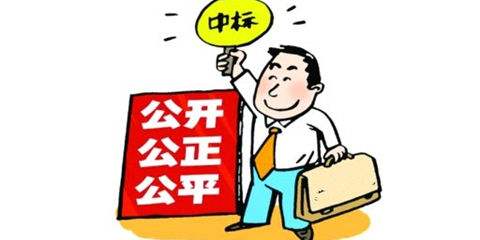 圖書投標(biāo)項(xiàng)目的重要點(diǎn)---北京天道恒遠(yuǎn)講給你聽