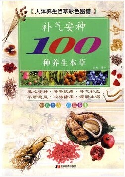 小學(xué)圖書批發(fā)：點(diǎn)亮孩子們的知識(shí)之路