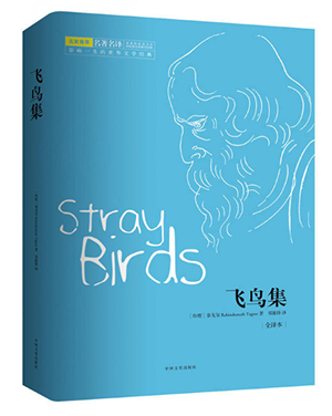 中小學(xué)圖書批發(fā)：培育未來的知識之花